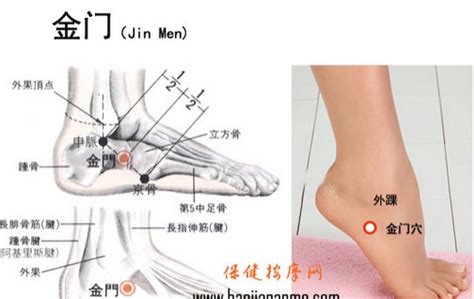 金門穴位置